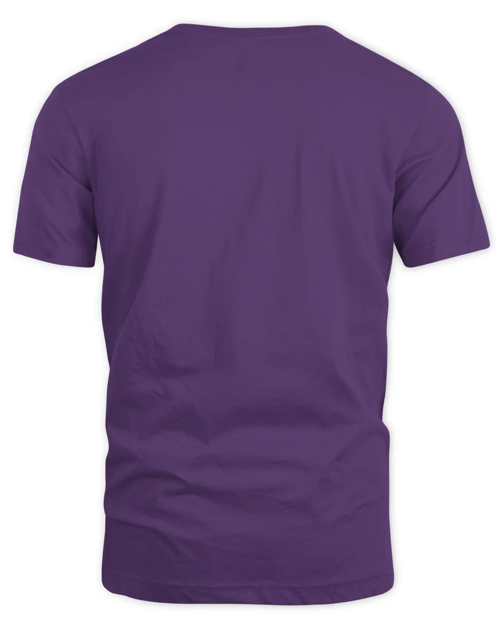 Refused Band Merch Summerholidays vs. Punkroutine Shirt Unisex Standard T-Shirt purple s