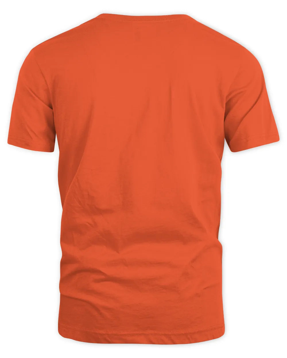 Sleaford Mods Merch Spare Ribs Shirt Unisex Standard T-Shirt orange s