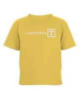 Toddler Cotton Jersey T-Shirt Toddler Cotton Jersey T-Shirt