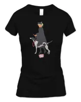 Women's Soft Style Fitted T-Shirt Women's Soft Style Fitted T-Shirt