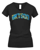 Women's V-Neck T-Shirt Women's V-Neck T-Shirt