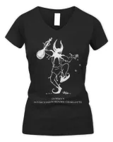 Women's V-Neck T-Shirt Women's V-Neck T-Shirt