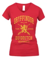Women's V-Neck T-Shirt Women's V-Neck T-Shirt