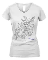 Women's V-Neck T-Shirt Women's V-Neck T-Shirt