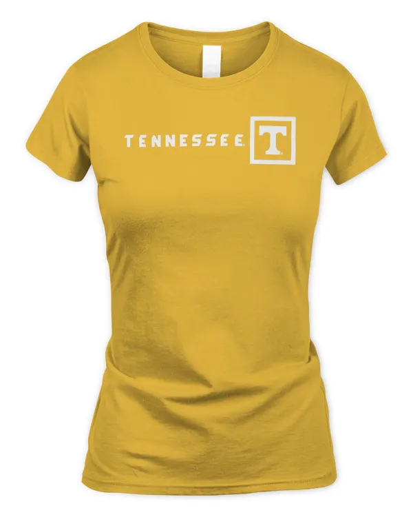 Women's Soft Style Fitted T-Shirt